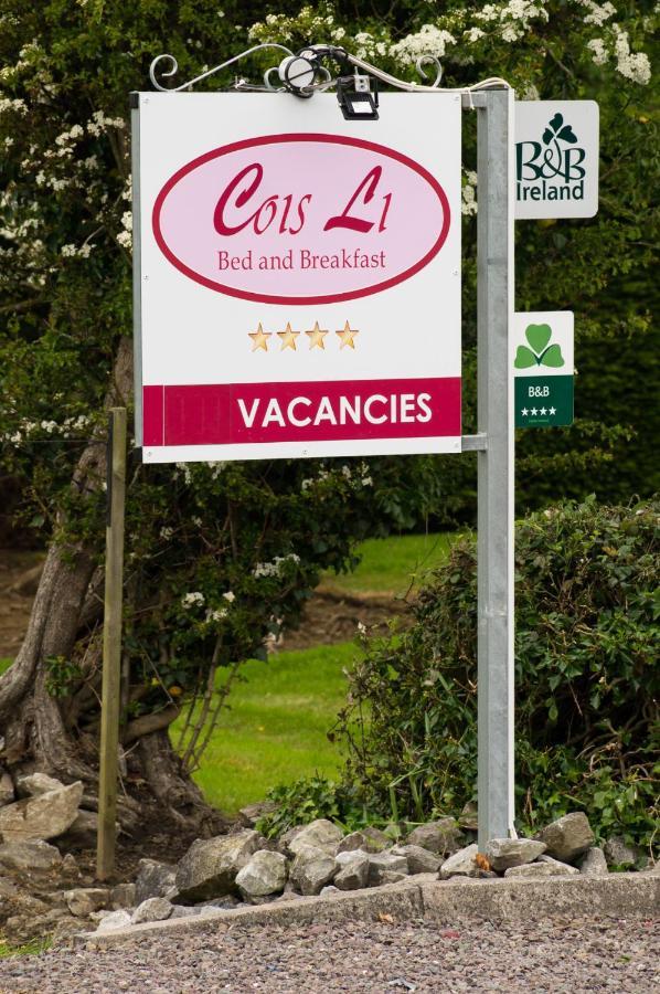Cois Li B&B Tralee Eksteriør billede